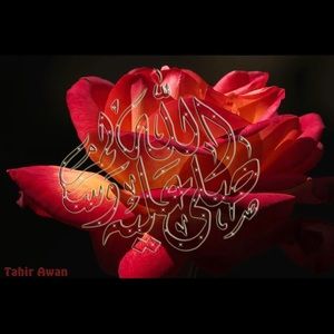 Meet your Posher, Muye